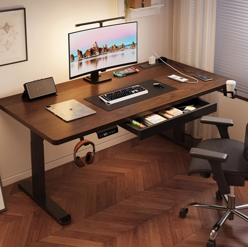 Modern Iron Dual Motor Electri - đánh giá và giá Desk Setup Dual Monitor