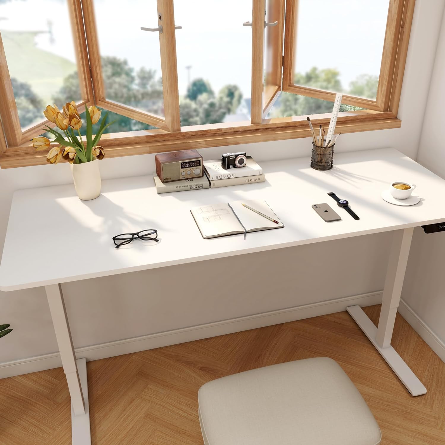 Large Electric Standing Desk w - đánh giá và giá Desk Setup Dual Monitor