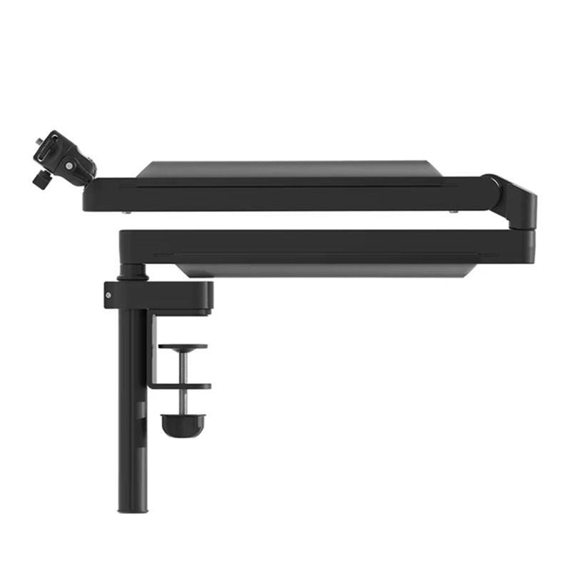 A99E-ZJ05 Adjustable Microphon - đánh giá và giá Desk Setup With Mic